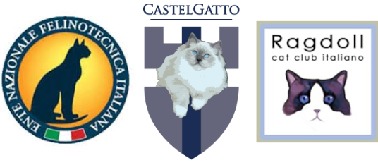 CastelGatto